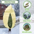 thumbnail image 3 of 95x80 Inch Huge Plant Covers Freeze Protection Frost Cloth for Outdoor Plants,2.82oz/yd² Thickened Winter Tree Covers with Zipper Drawstring,2 Pack Frost Blanket from Wind,Pest and Animal, 3 of 7