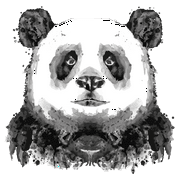 Realistic Art Design Using Paint of a Panda Vinyl Wall Decal - Real Drawing of an Animal Creature for Living Room Wall Decoration - 25" x 25"