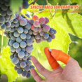 thumbnail image 3 of 5X Cuchillo de Pulgar de Silicona para Jardinería con Cunas de Dedo Selector de Cuchillo de Pulgar para Frutas Vege-L, 3 of 8