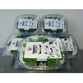 thumbnail image 5 of Organic Moringa Microgreens, 5 of 8