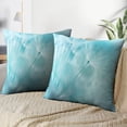 thumbnail image 5 of LALILO Throw Pillow Covers Dandelion Shallow Field Dandelion Soft Turquoise Flower Blue Light Wildflower Seed Set of 2 Square 18 x 18 Inch Pillowcase, 5 of 5