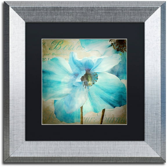 Trademark Fine Art "Himalayan Blue II" Canvas Art by Color Bakery Black Matte, Silver Frame