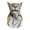 Grey, variant on Sun Protective Scarf with Animal Print Half Face Design for Cycling Windproof Shielding Outdoor Activities White