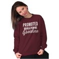 thumbnail image 3 of Promoted Grandma Announcement Cute Women Crewneck Sweatshirt Brisco Brands 2X, 3 of 6