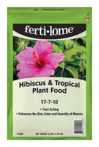 Earth INC 756P Exotic Exoitc Blend Palm Dr Tropical  Hibiscus Fertilizer 4lb 