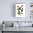 thumbnail image 3 of Vision Studio 'Roseate Blooms V' Canvas Art, 3 of 3