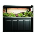 thumbnail image 4 of PVC Adhesive Fruits and Vegetables Aquarium Background Poster Sticker Fish Tank Decoration(M), 4 of 11