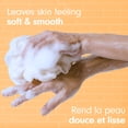 thumbnail image 4 of Softsoap Gel Douche Hydratant, Tous Types de Peau, Grenade et Mangue Juteuses, Bouteille de 20 fl oz, 4 of 9