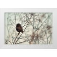 thumbnail image 1 of Avramescu, Emilian 24x17 White Modern Wood Framed Museum Art Print Titled - Look at Me, 1 of 4