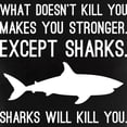 thumbnail image 3 of CafePress - Sharks Will Kill You Women's Dark Pajamas - Women's Short Sleeve Print T-Shirt and Pants Dark Cotton Pajama Set, 3 of 7