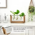 thumbnail image 4 of Desktop Plant Propagation Station, 3 Bulb Vase Plant Terrarium with Wooden Stand for Hydroponic Plants Home Office Home Decoration Valentine’s Day,Birthday Gift, 4 of 7
