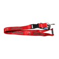 NFL Tampa Bay Buccaneers Original Team Lanyard Keychain