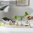 thumbnail image 3 of Glasseam House-Shaped Propagation Station: Wood Stand Plant Terrarium with 'Bless This Home' Engraving Hydroponic Planter for Home Decor Unique Housewarming Gifts for Women Men, 3 of 8