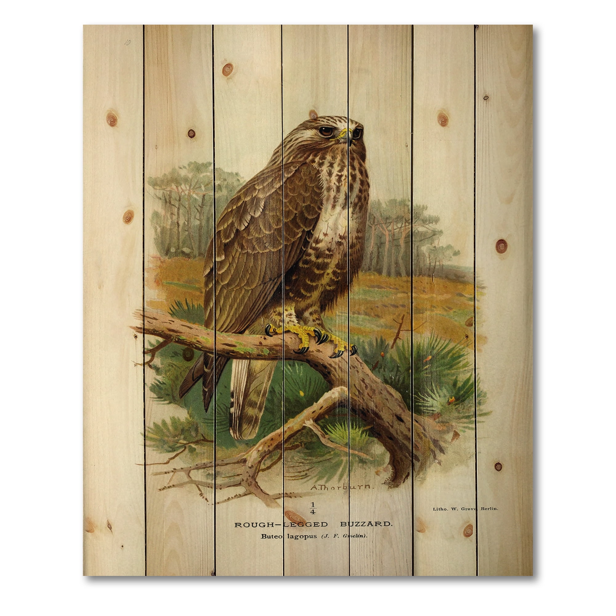 Designart 'Ancient Bird Life IX' Traditional Print on Natural Pine Wood
