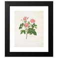 thumbnail image 2 of Mary Lawrance 15x18 Black Modern Framed Museum Art Print Titled - Rosa) (1799), 2 of 5