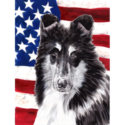 Black and White Collie with American Flag USA Flag Canvas House Size SC9630CHF by Caroline