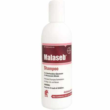 malaseb shampoo near me