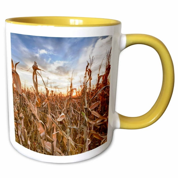 3drose, Usa, Nebraska, Near Omaha. Cornfield Agriculture - Us28 Cre0005 - Christopher Reed, 11oz Two-tone Yellow Mug