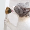 thumbnail image 4 of 4 piezas de juguete de hierba gatera, bola giratoria para lamer hierba gatera, juguete masticable seguro y saludable para gatitos, limpieza de dientes, 4 of 6