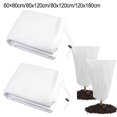 thumbnail image 3 of SPRING High-Quality Non-Woven Frost Protection Bag for Plants | Breathable, Reusable, 60 Width*80cm, 3 of 4