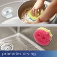thumbnail image 6 of Storage Theory Sponge Caddy – Suction Cup Soap Dish Holder for Kitchen or Bathroom Sink – Fits Sponge Daddy & Mommy – White, 1 Pack, 6 of 10