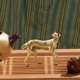 thumbnail image 3 of Estatuilla de perro de latón, estatua de perro, minicolección de animales, adorno de perro para estantería, sala de estar, hogar, oficina,, 3 of 9