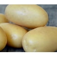 thumbnail image 1 of Seed Potato - Queen Ann (1 kg), 1 of 1