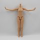 thumbnail image 2 of Blythe Doll Body Flexible 19 Articulaciones Japonesas Piel Cuerpo Desnudo para 12inchs Doll Uso Bronceado Fanmusic Blythe Doll Body, 2 of 5