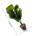 thumbnail image 2 of unbranded Plantas Falsas De Plástico Con Hojas Realistas Ideales Para Interior, 2 of 6