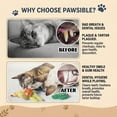 thumbnail image 3 of Pawsible 5 Pack Cactus Cat Toy Set, 100% Premium Cat Herb Filling, Natural Stimulation for Cats, Durable for Teething, Perfect Kitten Toy, 3 of 9