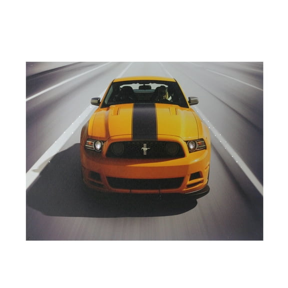 Northlight Fiber Optic and LED Lighted 2013 Ford Mustang Boss 302 Canvas Wall Art 12" x 15.75"