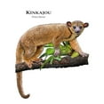 thumbnail image 3 of CafePress - Kinkajou Mug - 11 oz Ceramic Mug - Novelty Coffee Tea Cup, 3 of 6