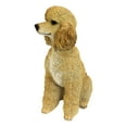 thumbnail image 2 of Grande Statue Réaliste de Poodle Marron 18.5 Pouces H Animal de Compagnie Ami Caniche Chien, 2 of 6