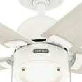 thumbnail image 4 of Hunter 44 inch Indoor Ceiling Fan with LED Light - White Ceiling Fan with Pull Chain, For Bedroom, Living Room, or Kitchen, Standard Mount, No Remote, 5 Blades - Erling 51708, Matte White, 4 of 15