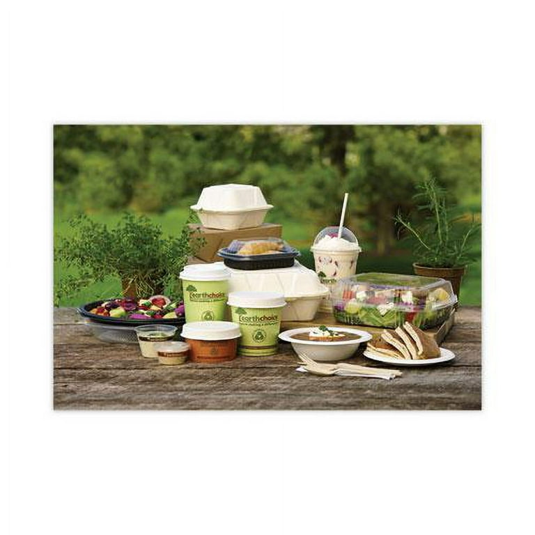 EarthChoice Compostable Soup Cup Large, 16 oz, 3.63