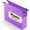 Purple, variant on Plastic Hanging File Folders Expandable,12 Pack Heavy Duty Hanging File Folder Letter Size,2 Inch Expansion Extra Capacity Folders,Adjustable Tabs,Green Hanging Folder Designed for Bulky Files