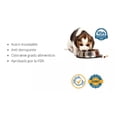 thumbnail image 2 of Plato Perro Gato 96oz Antiderrapante Acero Inoxidable Sunny Sunny SFB-961, 2 of 3