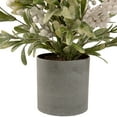 thumbnail image 3 of Northlight 2' Potted White Berry and Frosted Pine Christmas Tree, Unlit, 3 of 4