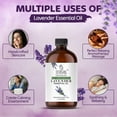 thumbnail image 4 of TRATAK ORGANICS Lavender Bulgaria Essential Oil 4 oz, Undiluted for Aromatherapy & Diffuser (Pack of 2), 4 of 8