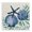 Tampico Shells Blue Starfish Nautical, variant on Stupell Industries Rustic Lodge Rustic Coast Teak Canvas Art, 17 x 17, by Paul Brent