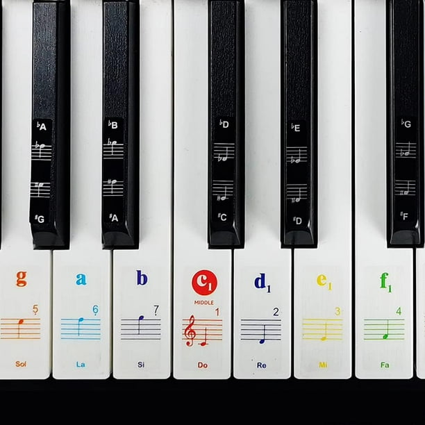 Imelod Stickers pour 49/61/76/88 touches, piano et clavier Notes de musique  Ensemble de stickers pour les touches de Blanc et Noir, Transparent et  amovible(colorés) 