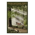 thumbnail image 2 of Brevard, North Carolina, Pisgah National Forest, Deer and Fawn (19x27 inches, Premium 500 Piece Jigsaw Puzzle for Adults and Family, Made in USA), 2 of 4