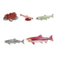 thumbnail image 2 of Ciclo de vida de los juguetes del salmón Hugo modelo de biología educativa Rosa, 2 of 8