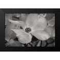 thumbnail image 2 of Geyman, Vitaly 18x13 Black Modern Framed Museum Art Print Titled - Dogwood Delicacy IV BandW, 2 of 5