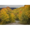 thumbnail image 2 of Grall, Don 24x17 White Modern Wood Framed Museum Art Print Titled - CO, San Juan NF Autumn aspen trees and road, 2 of 4