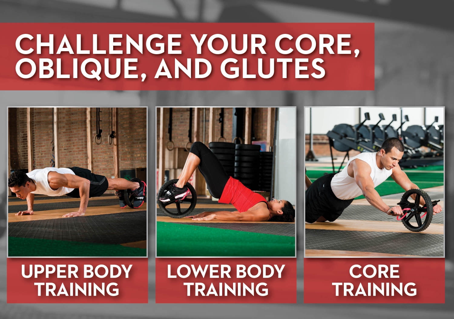 Lifeline Fitness Power Wheel for Ultimate Core Training Simultaneously Works up to 20 Muscles in Your Entire Body