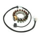 thumbnail image 1 of Bobina De Estator ATV, 3HN 85510 10 00 Estator Magnético Estándar OE Resistente Al Calor Alta Resistencia Baja Pérdida Magnética Para Warrior 350 YFM350, 1 of 7