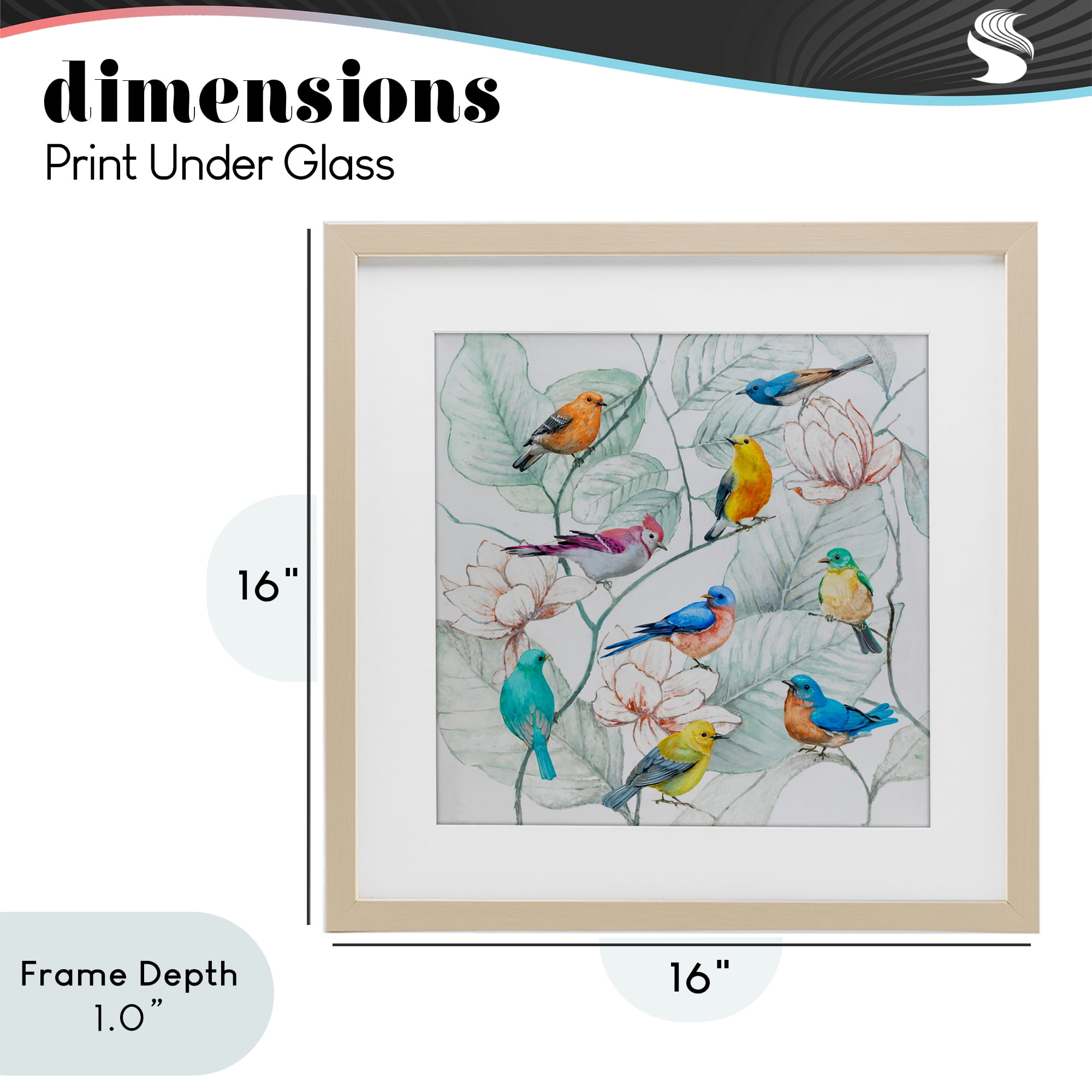 Stupell Industries Colorful Array Of Birds Birch Framed Print Under Glass, design by Lorenzo Collective
