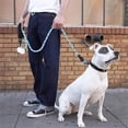 thumbnail image 3 of 1.5m 2m 3m Reflective Leash Dog Long Pet Leash Strong Lead Outdoor Training Puppy Small Medium Large Big Dogs Lanyard Rope New ShopWise Round, 3 of 12
