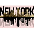 thumbnail image 2 of Pinto, Patricia 32x23 Black Ornate Wood Framed with Double Matting Museum Art Print Titled - Pink, NY, 2 of 4